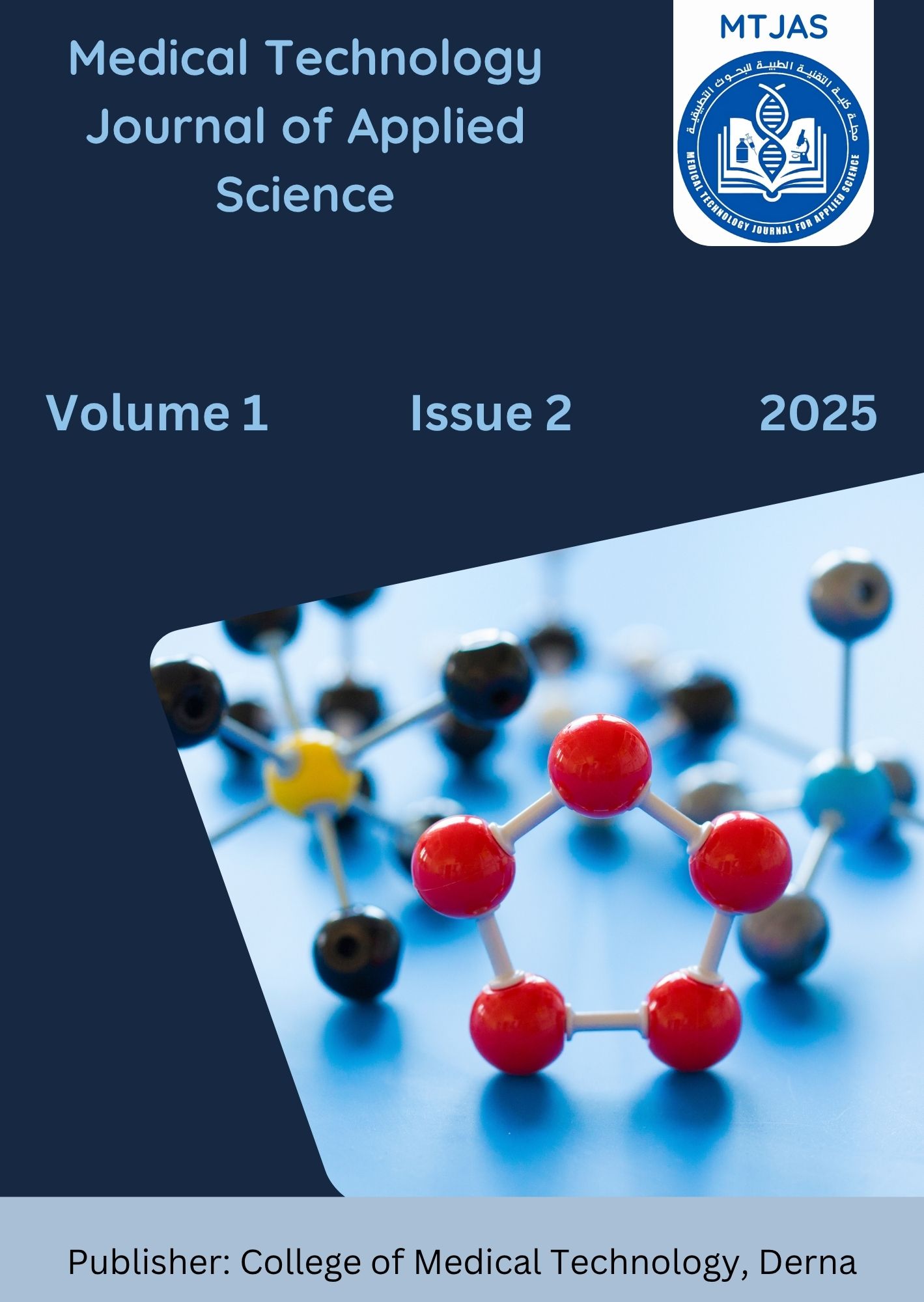 					View Volume 1, No. 2, 2025
				